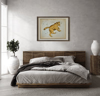 Ursa Major great bear constellation chart print in a dark wood frame above a rattan bed on a plaster wall