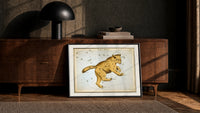 Ursa Major great bear constellation chart print in a black frame leaning against a walnut console in lamplight