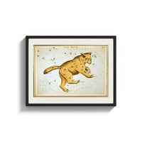 Framed Ursa Major great bear constellation chart print shown as a wide statement piece on a clean white wall